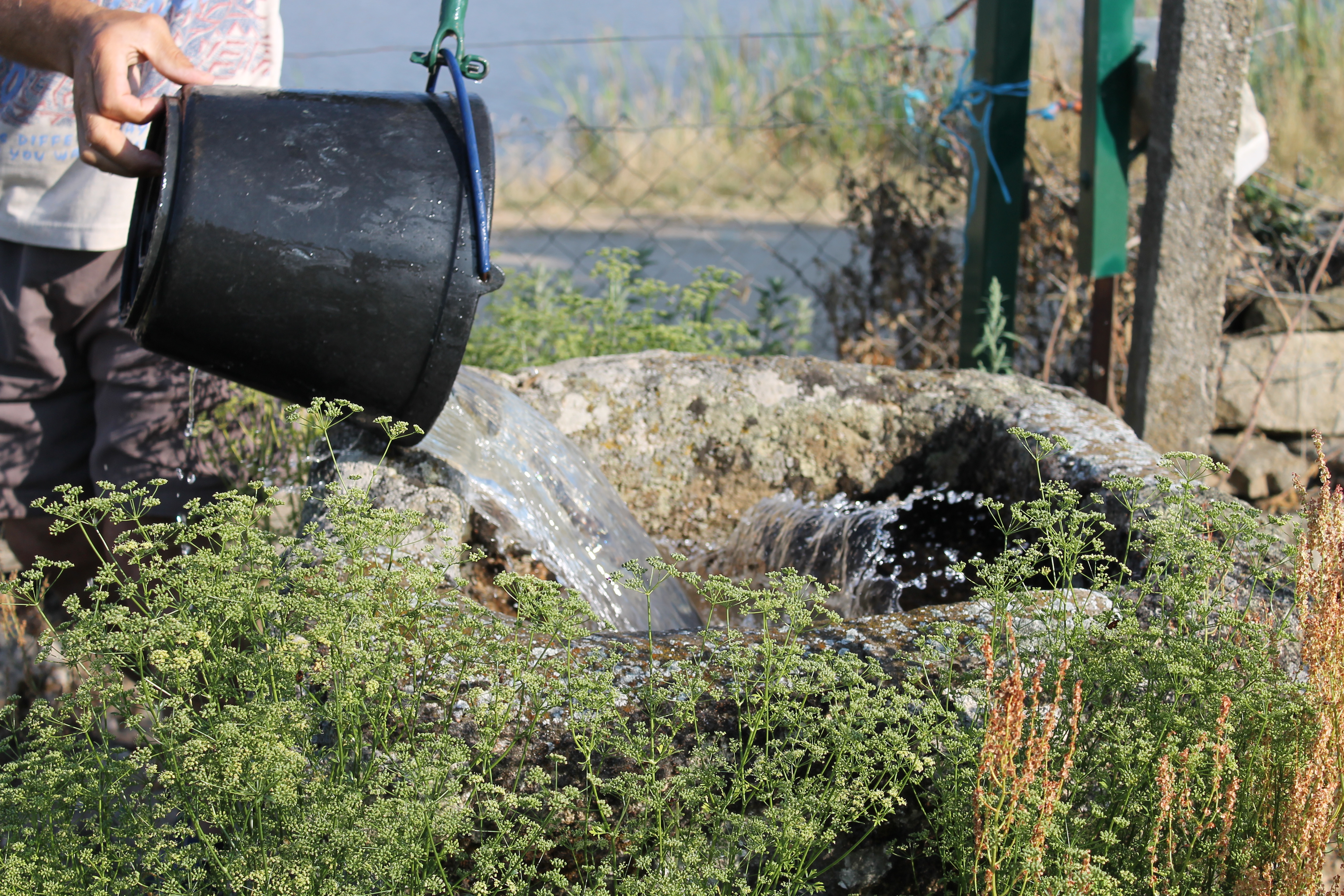 Foto da actividade: Actividades Estacionales