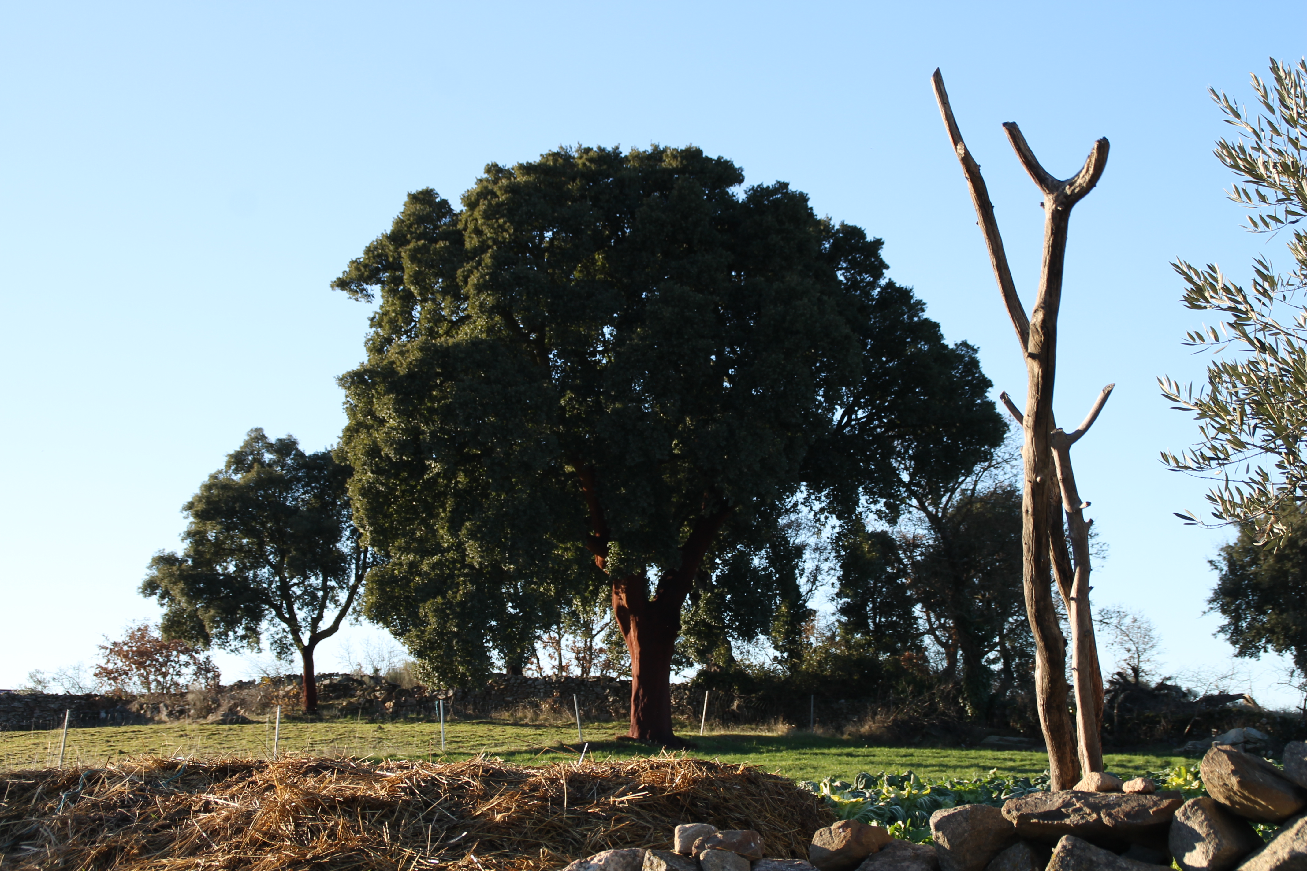 Foto da actividade: Visitas Guiadas al Pueblo en Mirandés
