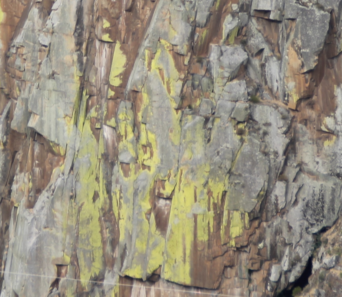 about.natureza.title